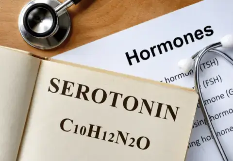 Serotonin  und seine Auswirkungen auf die Gesundheit des Menschen.